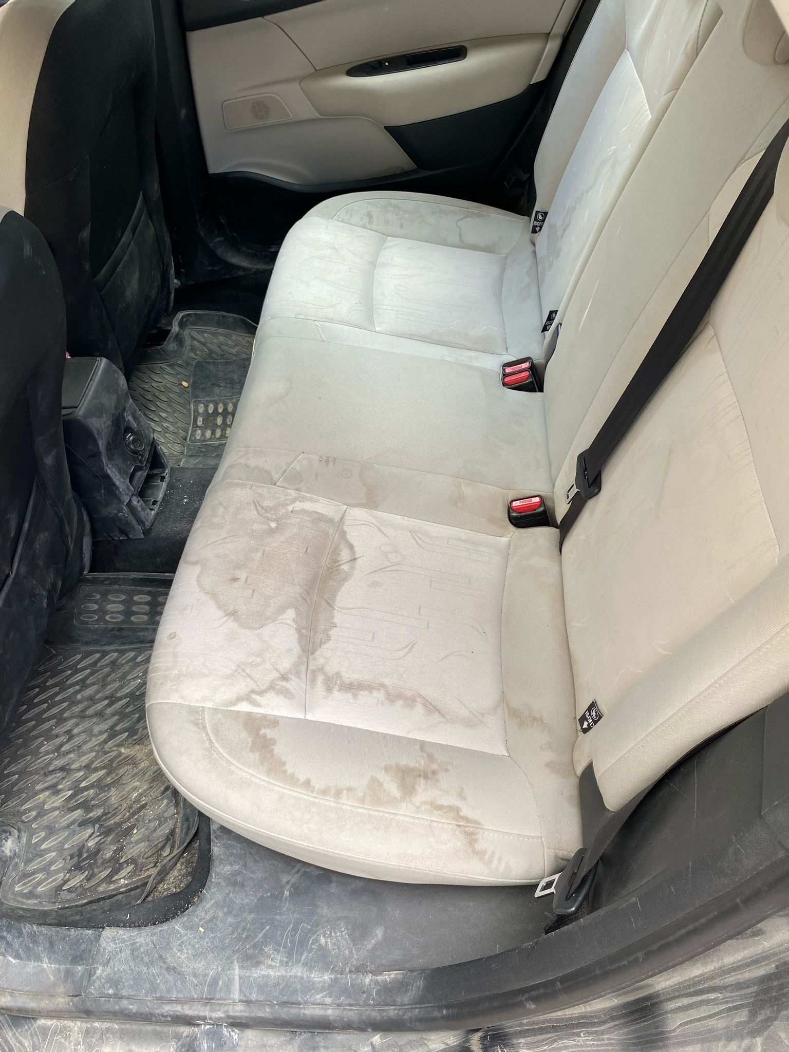 bursa-moray-hali-koltuk-yikama-banner (18) bursa-moray-hali-koltuk-yikama-banner (18)